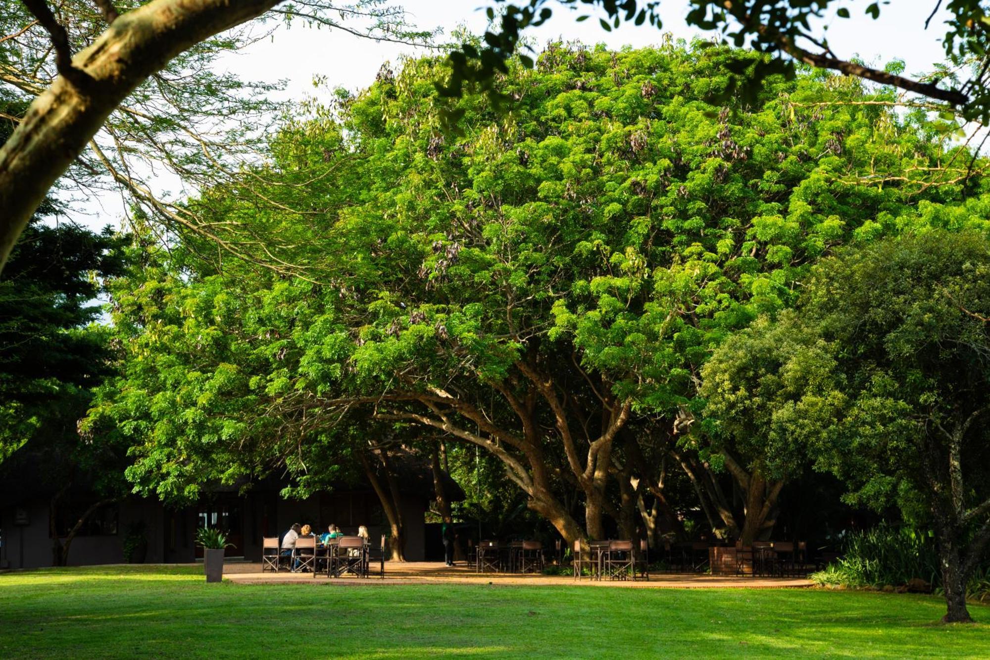 Falaza Game Park And Spa Hluhluwe Luaran gambar